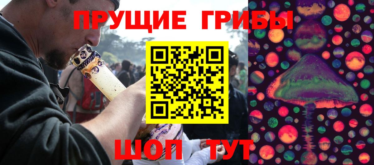Борисоглебск  Галлюциногенные грибы мицелий  Вход с VPN  Псилоцибиновые грибы Psilocybe 