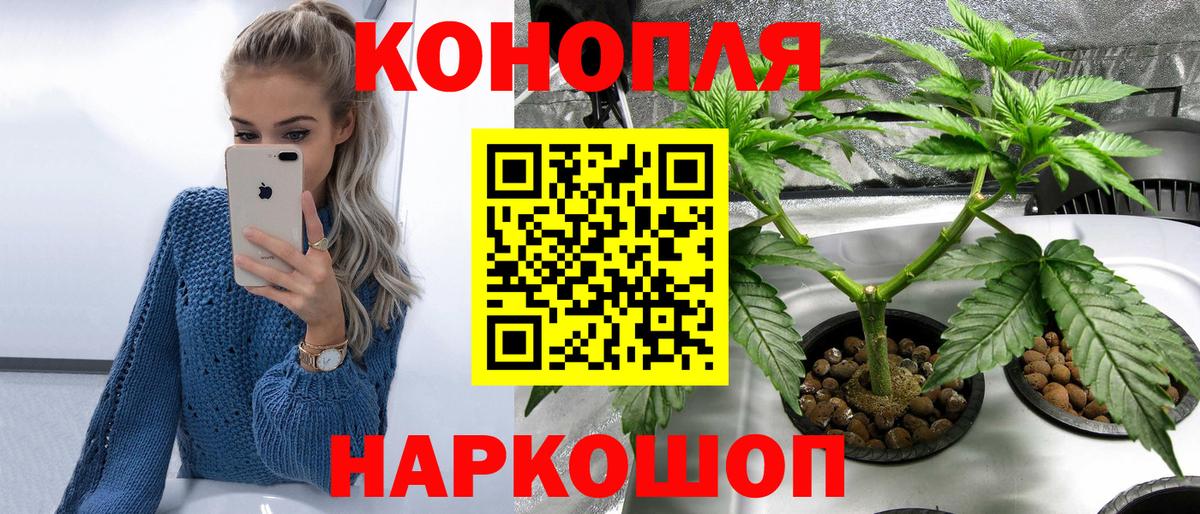 Канабис конопля Борисоглебск
